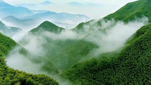 國務院辦公廳印發(fā)《關(guān)于鼓勵和支持社會資本參與生態(tài)保護修復的意見